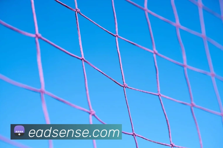 华体网体育官网服务体系